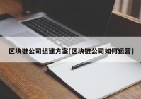 区块链公司组建方案[区块链公司如何运营]